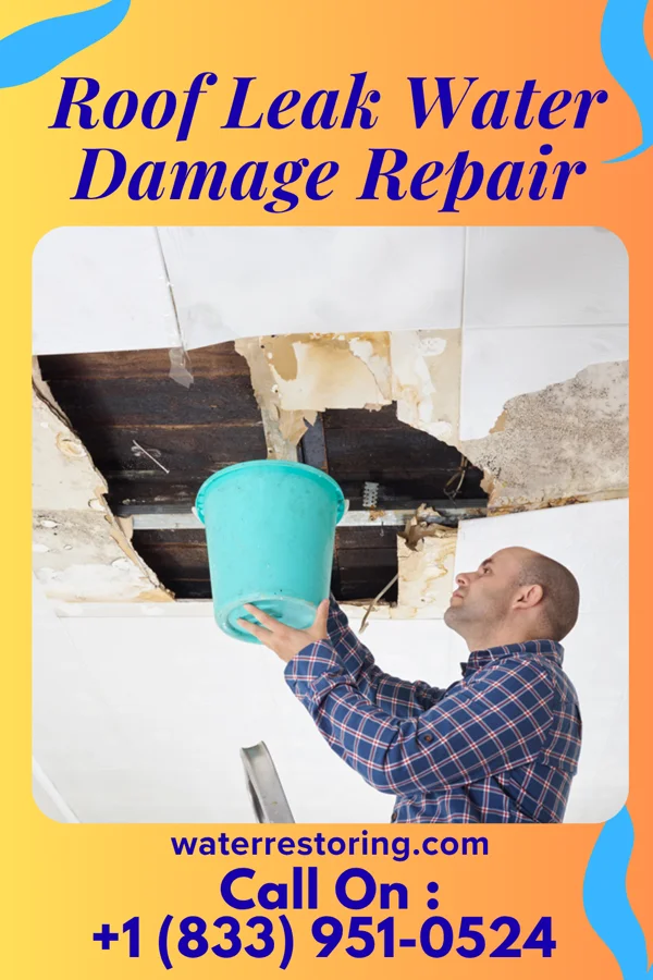 Roof Leak Water Damage Repair in Menomonie, WI