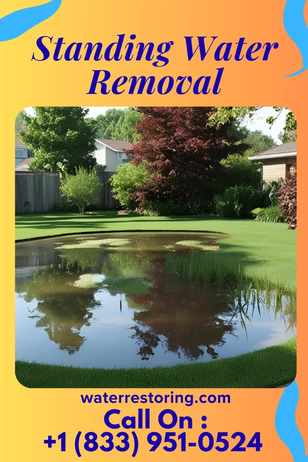 Standing Water Removal in Menomonie, WI